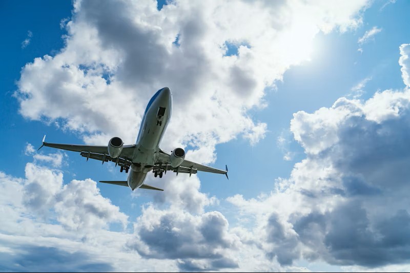 Domestic Travel